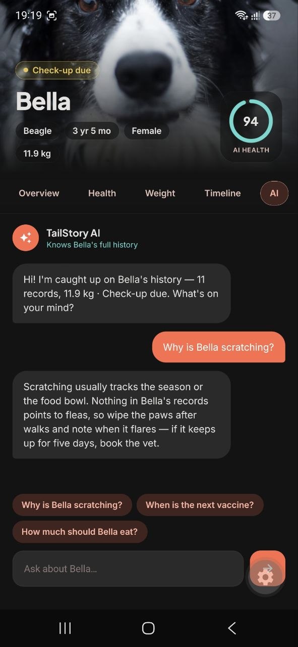 TailStory Doctor chat