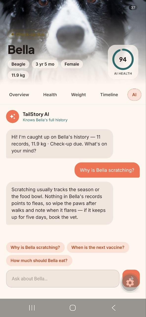 TailStory Doctor chat